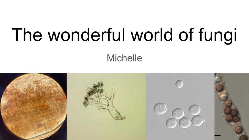 keymichelle 